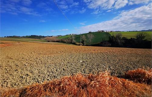 Terreno agricolo In Vendita a Osimo